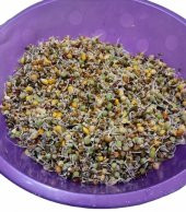 14 Çeşit Tohum Çimlendirmelik 500Gr (Filizlendirmelik) - 2
