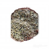 14 Çeşit Tohum Çimlendirmelik 500Gr (Filizlendirmelik) - 3