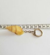 Salyangoz Anahtarlık Deniz Ürünü Anahtarlık no 43 thumbnail 2