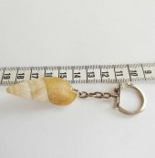 Salyangoz Anahtarlık Deniz Ürünü Anahtarlık no 54 - 2