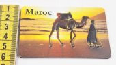 Sanat Taciri - Kabartmalı Maroc Fas Bedevi Deve Camel Çöl Magnet - 3