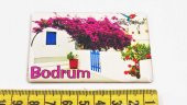 Sanat Taciri - Bodrum Kireçli Badanalı Çiçekli Evler Magnet - 3