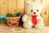 TEMİZ PELUŞ AYICIK+ SAKSIDAKİ ÇİÇEK KUTUP AYISI VE SAKSI - 1