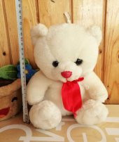 TEMİZ PELUŞ AYICIK+ SAKSIDAKİ ÇİÇEK KUTUP AYISI VE SAKSI - 2