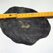 Koleksiyonluk Figür Rozet Broş - Yaka İğnesi thumbnail 3