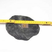 Koleksiyonluk Tsing Yi Hong Kong Lions Rozet Broş - Yaka İğnesi thumbnail 4