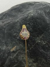 Antika Ampul Şeklinde Rozet Astra Yazılı Rozet İş yeri Marka Yazılı Rozet Broş thumbnail 1