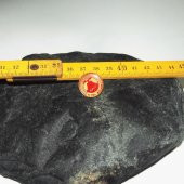 Koleksiyonluk Otel Bilen Rozet Yaka Broş - 1