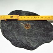 Koleksiyonluk Otel Bilen Rozet Yaka Broş - 3