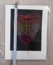 YAPRAK ÜZERİNE HAT ÇEKME no 1 thumbnail 1