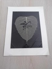 YAPRAK ÜZERİNE HAT ÇEKME no 8 thumbnail 1