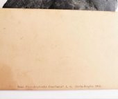 Genova Via Venti Settembre Neue Photographische Gesellschaft NPG - 3