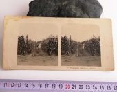 Umgegend Von Cairo Neue Photographische Gesellschaft NPG - 1