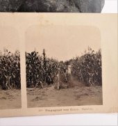 Umgegend Von Cairo Neue Photographische Gesellschaft NPG - 2