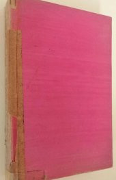 1 ADET 2. EL KİTAP KIZIL BOYALI SAÇLAR - 3