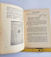 1981 TRT Çalışma Raporu - 2