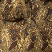 Otom Opel Zafira B 2006-2011 7 Kişi Özel Üretim Koltuk Kılıfı Safari Design Kalahari thumbnail 3