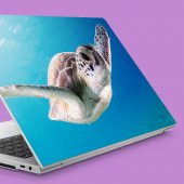 Yüzen Yavru Caretta Notebook Sticker, Laptop sticker,, Hp Sticker, Asus Sticker, 15.6 inç Sticker - 1
