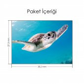 Yüzen Yavru Caretta Notebook Sticker, Laptop sticker,, Hp Sticker, Asus Sticker, 15.6 inç Sticker - 2