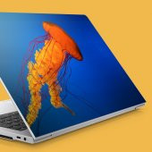 Turuncu Deniz Anası Notebook Sticker, Laptop sticker,, Hp Sticker, Asus Sticker, 15.6 inç Sticker - 1