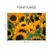 Ayçiçeği Tarlası Notebook Sticker, Laptop sticker,, Hp Sticker, Asus Sticker, 15.6 inç Sticker - 2