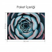 Makro Sukulent Notebook Sticker, Laptop sticker,Hp Sticker, Asus Sticker, 15.6 inç Sticker - 2