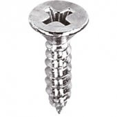 Aletçantam Havşa Başlı Küçük Vida Mini Sac Vidası Yhb 2.9x9.5 -500 Adet - 1