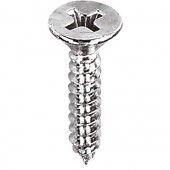 Aletçantam Havşa Başlı Küçük Vida Mini Sac Vidası Yhb 2.9x13 -500 Adet - 1