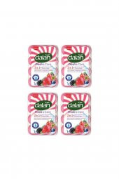 Dalan Fresh Care Güzellik Sabunu Orman Meyveleri 4 X 90ml x 4 Paket - 1