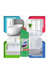 Domestos Çamaşır Suyu Dağ Esintisi 750 ml 6 Adet - 2