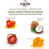 Palette Kalıcı Doğal Renkler 3-68 Kızıl Çikolata Saç Boyası - 4