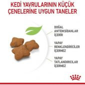 Royal Canin Kitten Sterilised Kısırlaştırılmış Yavru Kedi Maması 2 kg - 3