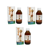 Argivit Classic Şurup,L-Arginin,Vitamin,Mineral-150 Ml-3 ADET-SKT:10/2026 - 1