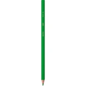 Bic Kids Evolution Kuru Boya Kalemi 36'lı Metal Tüp - 4