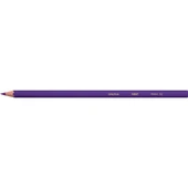 Bic Kids Evolution Kuru Boya Kalemi 36'lı Metal Tüp - 7