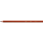 Bic Kids Evolution Kuru Boya Kalemi 36'lı Metal Tüp - 8