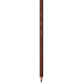 Bic Kids Evolution Kuru Boya Kalemi 24+1'li Metal Tüp - 3