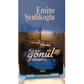 Bir Gönül Mücadelesi Emine Şenlikoğlu Mektup Yayınları - 1