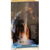 Bir Gönül Mücadelesi Emine Şenlikoğlu Mektup Yayınları - 2