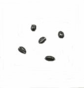 ZEYTİN KISD KRŞN 1,5GR 1 PAKET 20 ADET - 5