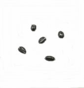 ZEYTİN KISD KRŞN 1,5GR 1 PAKET 20 ADET - 6