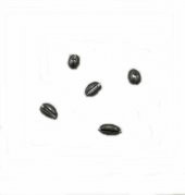 ZEYTİN YARMA KRŞN 2 GR 1 PAKET 20 ADET - 4