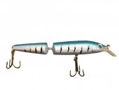 FLADEN RİVER LETS GO FLOATING Rapala thumbnail 2