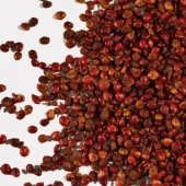 Dökme Baharat Tane Sumak - 100 gr - 1