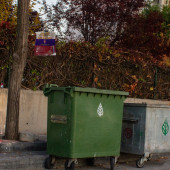 Fly Jail - M Karasinek Tuzağı - 6