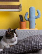 Kayigo Lavender Kalemlik & Notluk - Mavi Kaktüs thumbnail 4