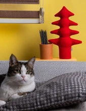 Kayigo Lavender Kalemlik & Notluk - Kırmızı Çam thumbnail 3