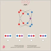 6LI SET 9+ Yaş / IQ, Dikkat ve Yetenek Geliştiren Kitaplar Serisi - 8