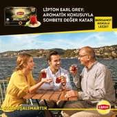 Lipton Earl Grey Demlik Poşet Çay 100lü X 3 Adet - 6