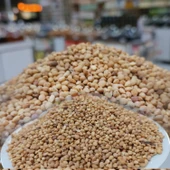 Mahlep Tohumu (Kg) - 1